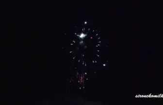 新作花火コレクション in 大曲 2015「Snow Fantasy」㈱神戸煙火工場