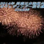 男鹿日本海花火 2014 ~ 星たちのウェディング ~ Stage9 余興(2部)