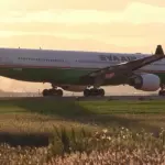 仙台空港 秋の風景 黄金色の空の下で離着陸をする飛行機