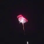 新作花火コレクション in 大曲 2015「江戸前といえば鮨」㈱丸玉屋小勝煙火店