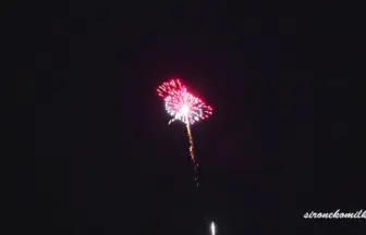 新作花火コレクション in 大曲 2015「江戸前といえば鮨」㈱丸玉屋小勝煙火店