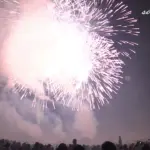 2014年 赤川花火大会 全国デザイン花火競技会段咲花時雨たんぽぽの花」㈲太陽堂田村煙火店