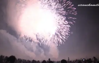 2014年 赤川花火大会 全国デザイン花火競技会段咲花時雨たんぽぽの花」㈲太陽堂田村煙火店