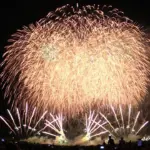 2014年8月2日 長岡まつり大花火大会「天地人花火」㈲小千谷煙火工業