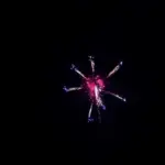 新作花火コレクション in 大曲 2015「華の宴」 ㈱ワキノアートファクトリー