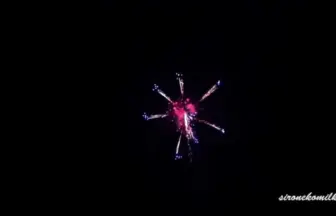 新作花火コレクション in 大曲 2015「華の宴」 ㈱ワキノアートファクトリー