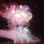 2015年がラスト!涌谷城址 わくや桜まつり 2015 夜桜花火大会