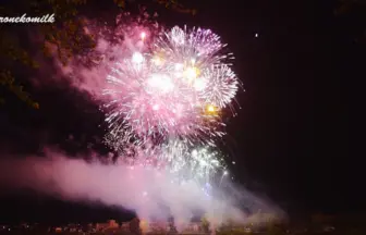 2015年がラスト！涌谷城址 わくや桜まつり 2015 夜桜花火大会