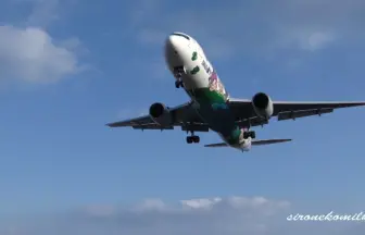 大阪国際空港(伊丹) ボーイング767 全日本空輸60周年記念塗装機ゆめジェットの離着陸