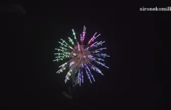 2015年 長野えびす講煙火大会 全国十号玉新作花火コンテスト