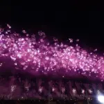 大曲の花火 2015 全国花火競技大会 大会提供花火「あさきゆめみし」