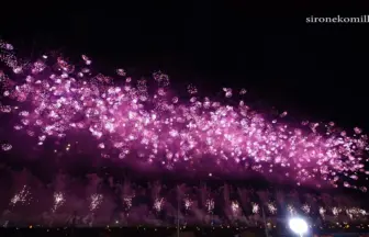 大曲の花火 2015 全国花火競技大会 大会提供花火「あさきゆめみし」