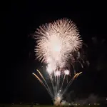 2015年 神明の花火大会 競技花火「酔いどれの夏」