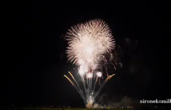 2015年 神明の花火大会 競技花火「酔いどれの夏」