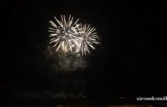 2015年 赤川花火記念大会 全国デザイン花火競技会「プリミティブの灯」㈲安藤煙火店