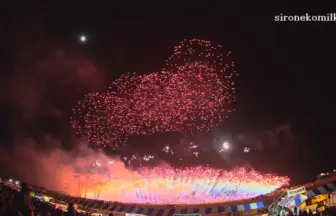 2015年 長野えびす講煙火大会 ミュージックスターマイン 信州煙火