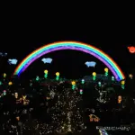 4K UHD 関東三大イルミネーション あしかがフラワーパーク 光の花の庭 2015-2016