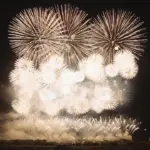 2015年【感動日本一】赤川花火記念大会 ドラマチックハナビ「怪盗ハナビ現る～みんなの花火を取り戻せ！～」