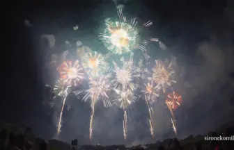 4K UHD 2016年【感動日本一】赤川花火大会 ドラマチックハナビ「Dolphins~恋するイルカショー