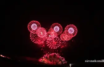 2015年 大曲の花火 秋の章 90秒創造花火劇場 大曲頂上決戦