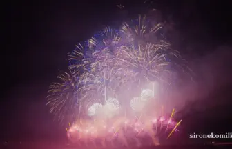 2015年8月2日 長岡まつり大花火大会「故郷はひとつ」野村花火工業