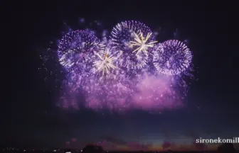 2015年 ぎおん柏崎まつり「海の大花火大会」ワイドスターマイン