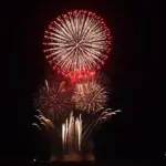 2015年 赤川花火記念大会 全国デザイン花火競技会「未来の僕らへ」菅野煙火店