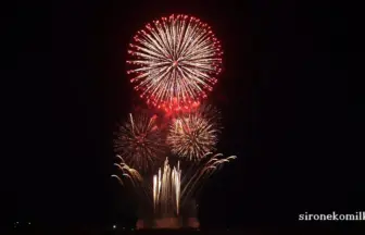 2015年 赤川花火記念大会 全国デザイン花火競技会「未来の僕らへ」菅野煙火店