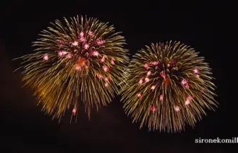 2015年 ぎおん柏崎まつり花火大会 大迫力の三尺玉2発同時打上