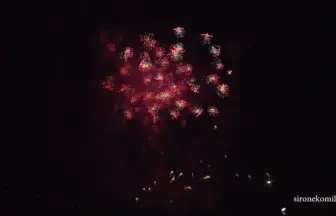 4K UHD 2016年 赤川花火大会 全国デザイン花火競技会「ラベンダーの丘にて」若松煙火製造所