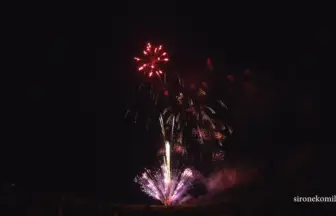 4K UHD 2016年 神明の花火大会 競技花火「神明～恋桜」丸玉屋小勝煙火店