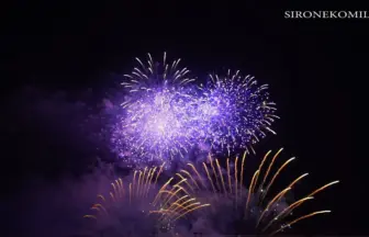 2015年 ツインリンクもてぎ 花火の祭典・秋「幻想イルミネーション」野村花火工業