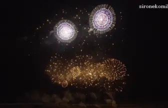 2015年 ツインリンクもてぎ 花火の祭典・秋「秋色彩花」【野村花火工業】
