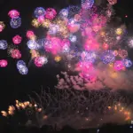 長岡まつり大花火大会 2014 大型プログラム「天地人花火」「この空の花」