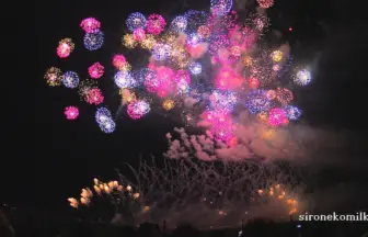 長岡まつり大花火大会 2014 大型プログラム「天地人花火」「この空の花」