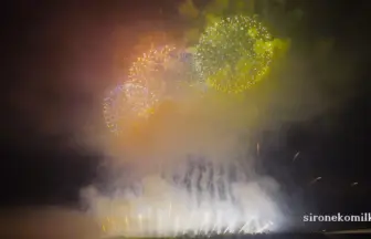 2015年8月2日 長岡まつり大花火大会 超大型花火物語 「この空の花」