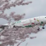 4K UHD 成田市さくらの山公園の満開の桜と成田国際空港 飛行機の離着陸