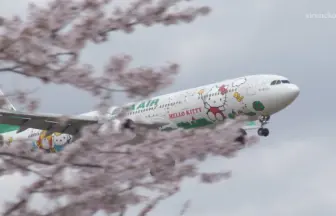 4K UHD 成田市さくらの山公園の満開の桜と成田国際空港 飛行機の離着陸