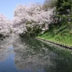 Sony α7S×Atomos Ninja Assassin 4K UHD 日本の桜