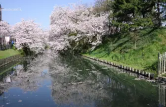 Sony α7S×Atomos Ninja Assassin 4K UHD 日本の桜