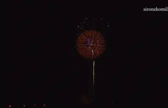 4K UHD 2016年 片貝まつり奉納大煙火 やっちゃえ!ニャンターマイン プラス鳳凰会スターマイン 進撃の猫玉大連発!