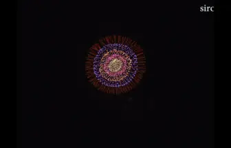 2016年 大洗春まつり海楽フェスタ 春の花火大会【野村花火工業】