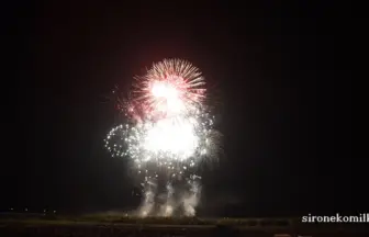 2015年 赤川花火記念大会 全国デザイン花火競技会「赤川幻想物語」大久保煙火製造所