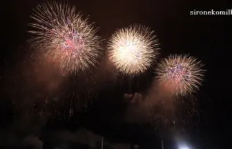 大曲の花火 2015 全国花火競技大会 フィナーレ 10号割物30連発特大スターマイン
