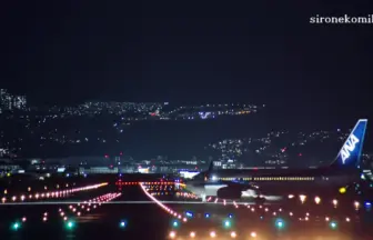 大阪国際空港 千里川土手から眺める飛行機と滑走路夜景