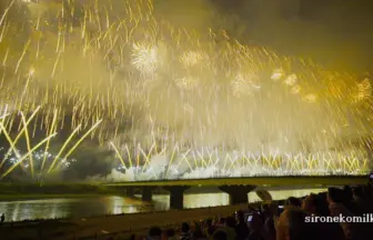 2015年8月2日 長岡まつり大花火大会 復興祈願花火フェニックス