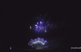 4K UHD 2016年 神明の花火大会 競技花火「新たなる門出に花束を」㈱齊木煙火本店