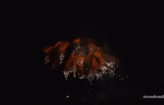 4K UHD 2016年 赤川花火大会 全国デザイン花火競技会「五月雨(さみだれ)」㈱佐藤煙火