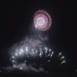 2015年 赤川花火大会 全国デザイン花火競技会「風」㈱佐藤煙火