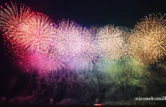 2015年 神明の花火大会【市川三郷町制施行10周年記念オープニング花火】